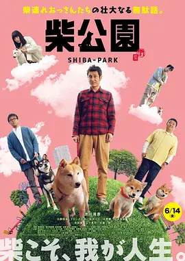妻子的101婚姻2020
