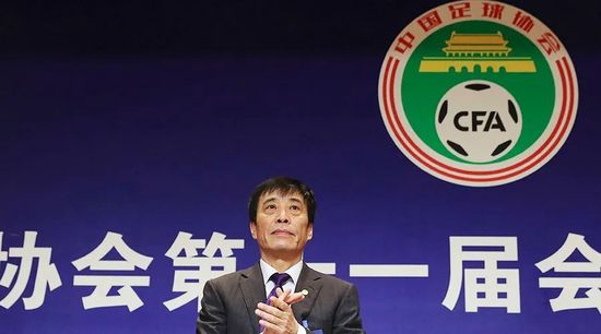激情性插