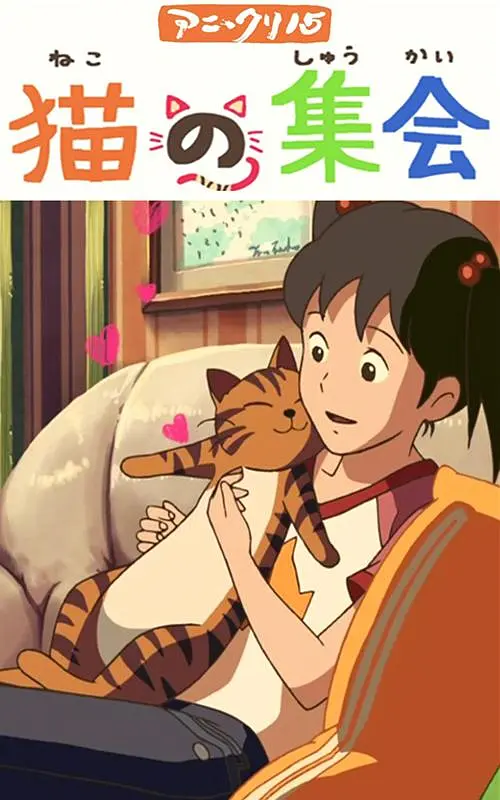 91视频国内