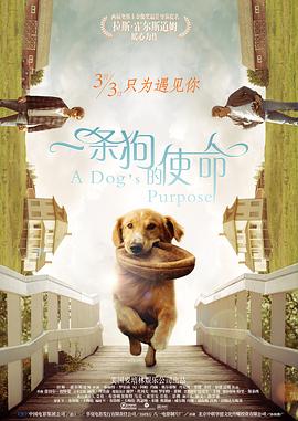 服务员的无奈