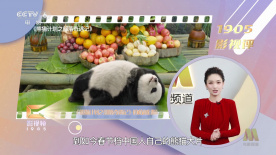 朴正姬的电影在线播放
